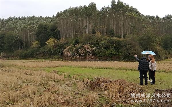 林芝地区陈老师带着爱徒寻龙点穴